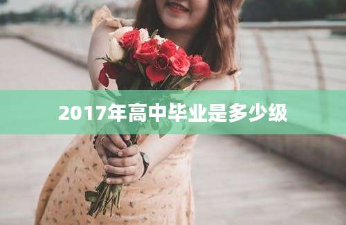 2017年高中毕业是多少级