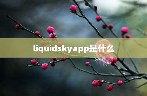 liquidskyapp是什么