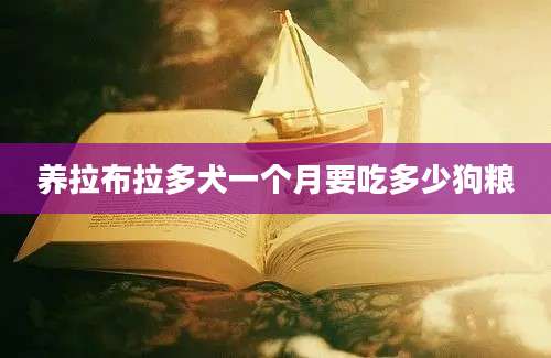 养拉布拉多犬一个月要吃多少狗粮