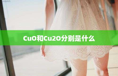 CuO和Cu2O分别是什么