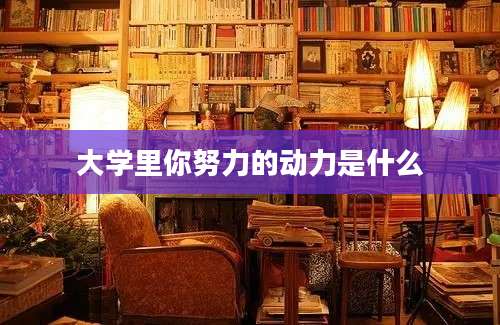 大学里你努力的动力是什么