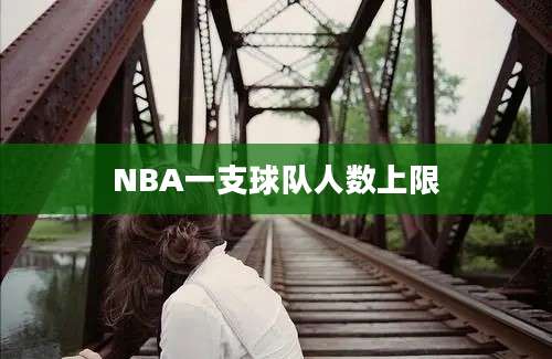 NBA一支球队人数上限