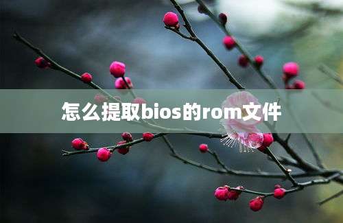 怎么提取bios的rom文件