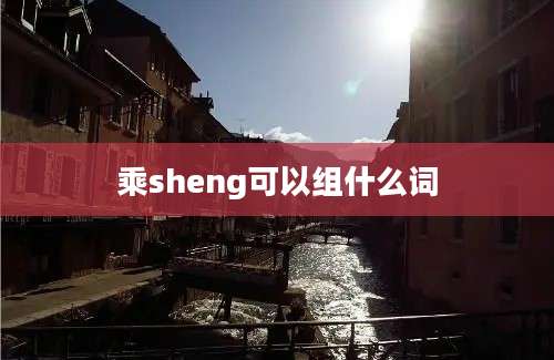 乘sheng可以组什么词