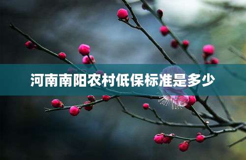 河南南阳农村低保标准是多少