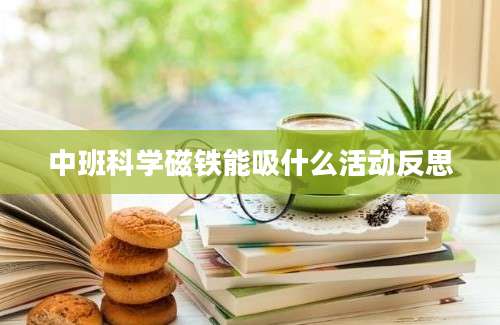 中班科学磁铁能吸什么活动反思