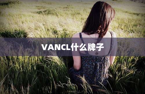 VANCL什么牌子