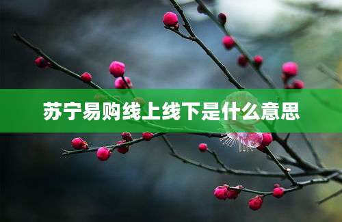 苏宁易购线上线下是什么意思