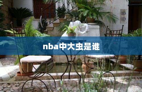 nba中大虫是谁