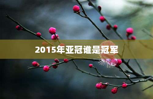 2015年亚冠谁是冠军