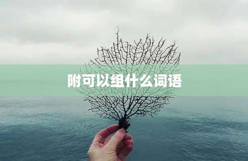 附可以组什么词语