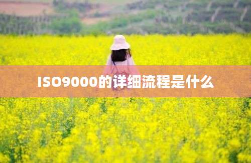 ISO9000的详细流程是什么