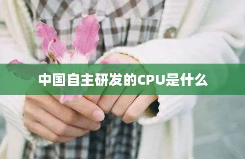 中国自主研发的CPU是什么