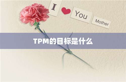 TPM的目标是什么