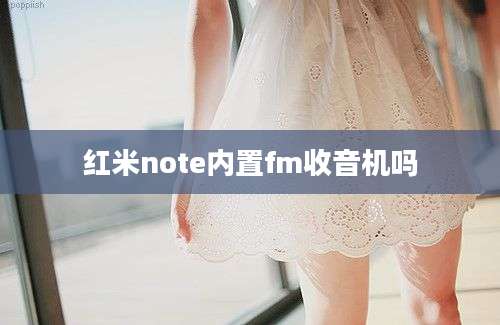 红米note内置fm收音机吗