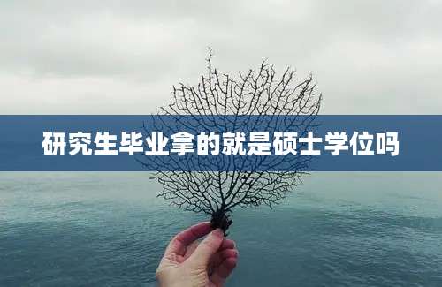 研究生毕业拿的就是硕士学位吗