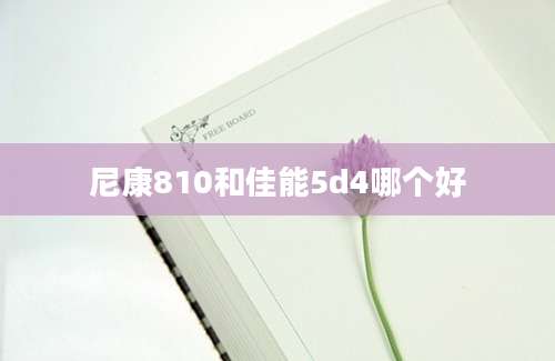 尼康810和佳能5d4哪个好