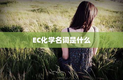 EC化学名词是什么