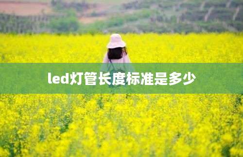 led灯管长度标准是多少