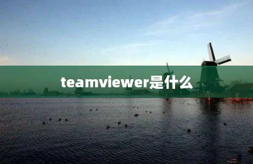 teamviewer是什么