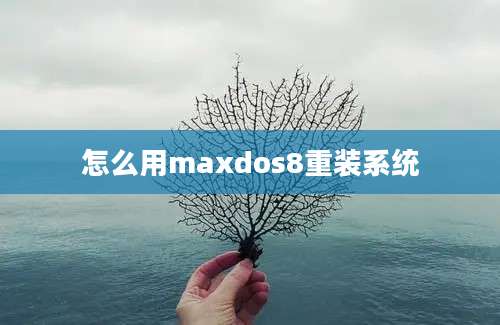 怎么用maxdos8重装系统