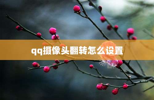 qq摄像头翻转怎么设置