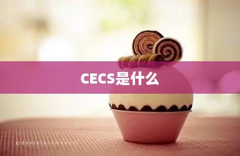 CECS是什么