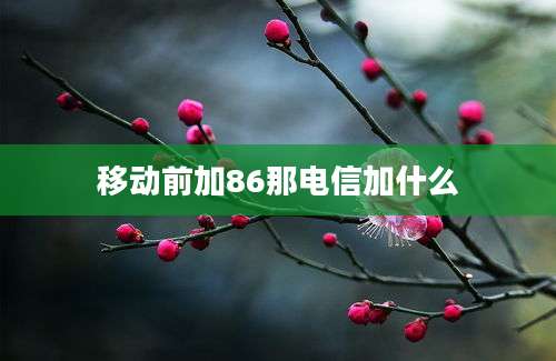 移动前加86那电信加什么