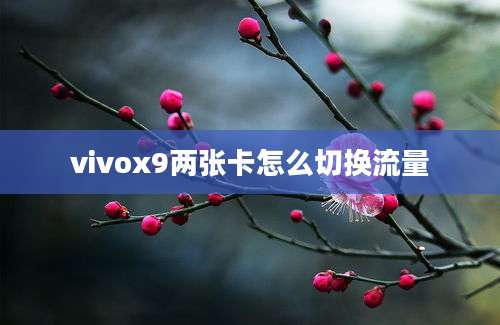 vivox9两张卡怎么切换流量