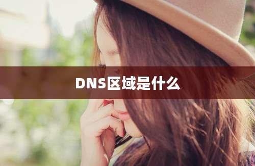 DNS区域是什么