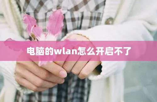 电脑的wlan怎么开启不了