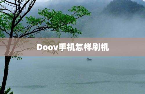 Doov手机怎样刷机