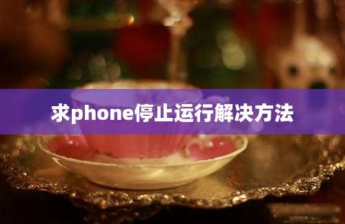 求phone停止运行解决方法