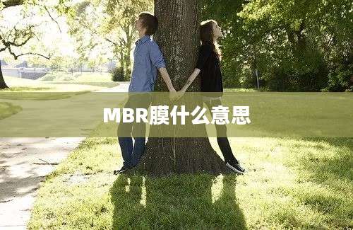 MBR膜什么意思