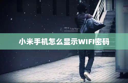 小米手机怎么显示WIFI密码