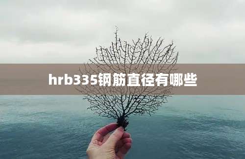 hrb335钢筋直径有哪些