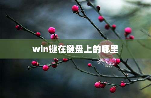 win键在键盘上的哪里