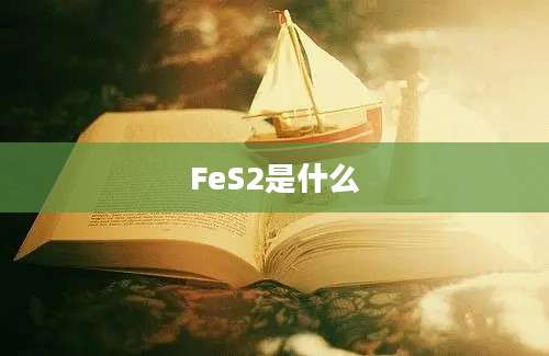 FeS2是什么