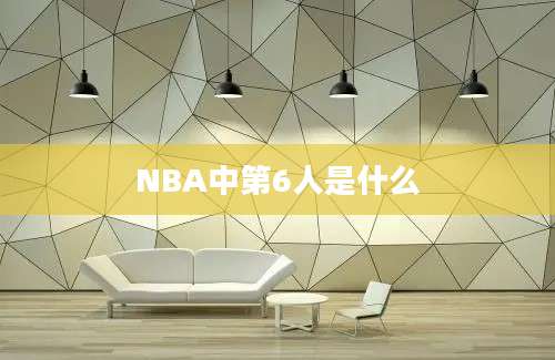 NBA中第6人是什么