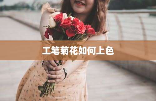 工笔菊花如何上色