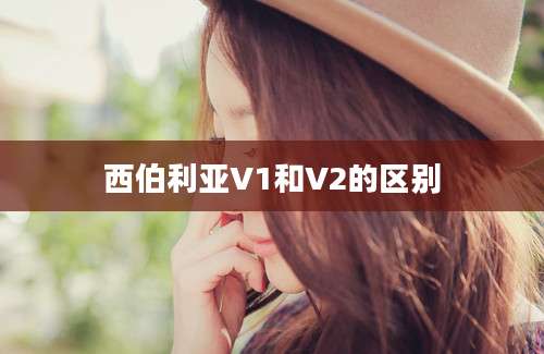 西伯利亚V1和V2的区别