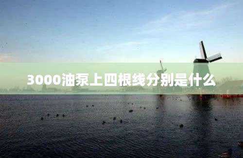 3000油泵上四根线分别是什么