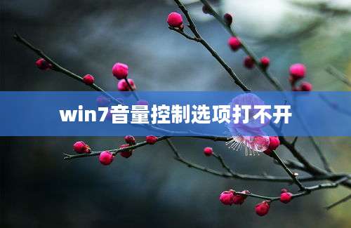 win7音量控制选项打不开