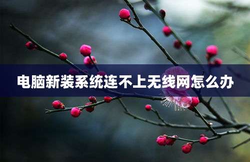 电脑新装系统连不上无线网怎么办