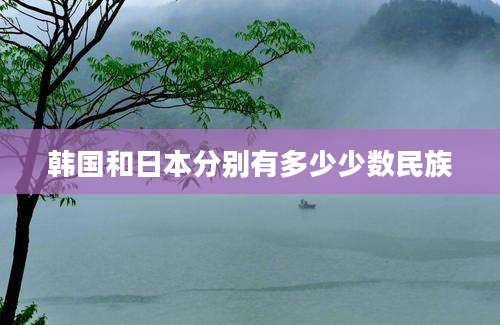 韩国和日本分别有多少少数民族