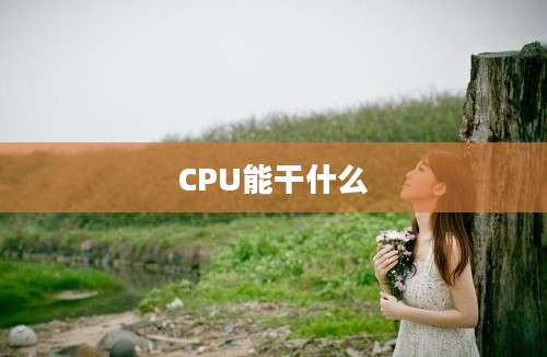 CPU能干什么