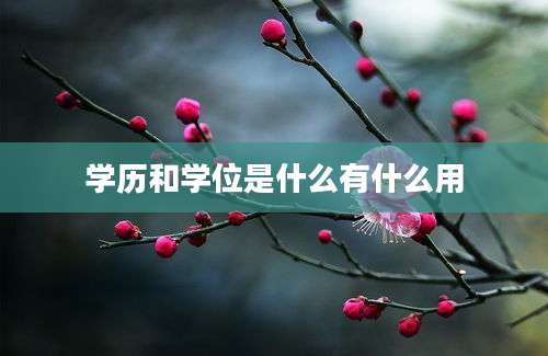 学历和学位是什么有什么用