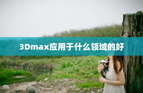 3Dmax应用于什么领域的好