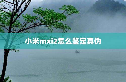 小米mxi2怎么鉴定真伪