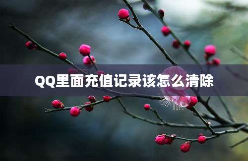 QQ里面充值记录该怎么清除